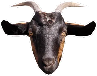 😈 goat, animal, farm, head, horns telegram sticker