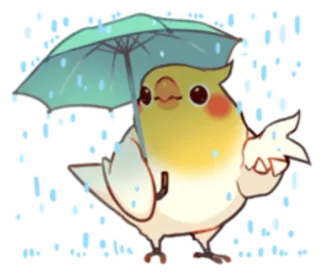 ☔ นก, ร่ม, ฝน, ค็อกกาเทล, น่ารัก, สัตว์, สภาพอากาศ telegram sticker