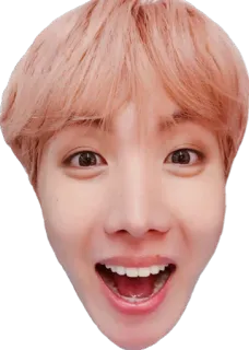 😀 person, head, face, portrait telegram sticker