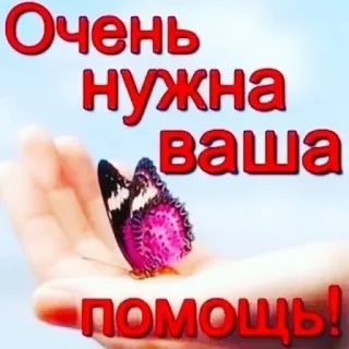 🙏 Очень нужна ваша помощь! aide, papillon, assistance, charité, main telegram sticker