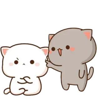 🤨 kucing, jari tengah, kartun, kasar, stiker telegram sticker