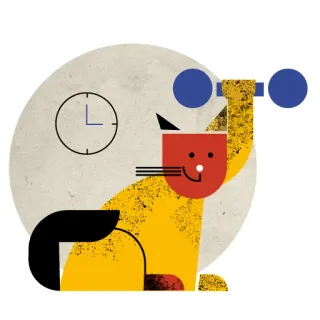 🏋️‍♀️ chat, haltère, fitness, exercice, musculation, dessin animé, animal whatsapp sticker