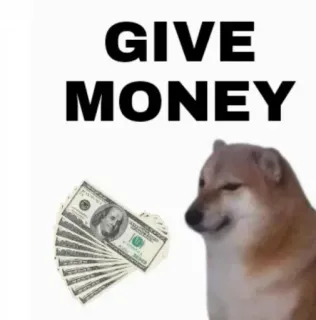 💵 GIVE MONEY doge, argent, cash, chien, mème telegram sticker