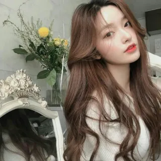 🫐 woman, portrait, brunette, flowers, mirror, beauty, model telegram sticker