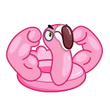 💪 fenicottero, muscolo, forte, cartone animato, animale, divertente, rosa telegram sticker
