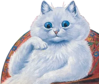 😎 chat, chat blanc, animal, chat domestique, animal de compagnie, yeux bleus telegram sticker
