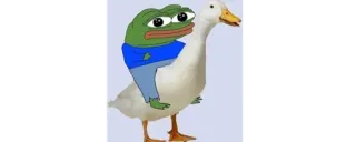 🦆 Pepe the Frog Pepe de Kikker, Meme, Eend, Cartoon whatsapp sticker