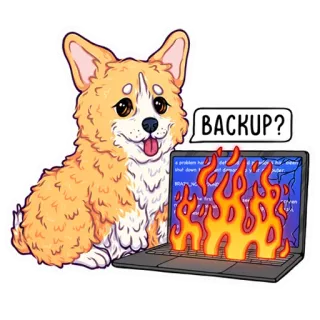 💻 BACKUP? Corgi, Anjing, Komputer, Cadangan, Api, Kartun, Stiker telegram sticker