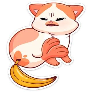 🍌 Katze, Banane, süß, lustig, Sticker, Meme, orange, wütend telegram sticker