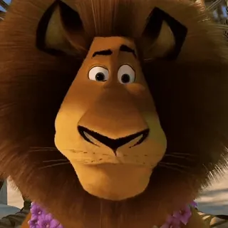😳 Alex Madagascar lion, cartoon, animal, zoo, flower whatsapp sticker