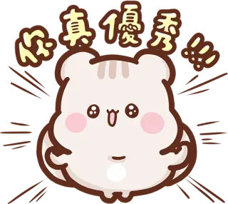 🤩 你真优秀 cute, kawaii, cartoon, animal, bear, compliment, excellent telegram sticker