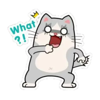 😱 What?! chat, choqué, surpris, dessin animé, autocollant, drôle telegram sticker