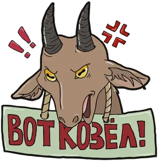 Bunny @stickersb2b telegram stickers