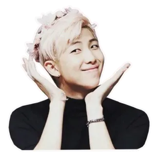 🥰 RM K-pop, Idolo, Cantante, Artista, Celebrità, Corona di fiori telegram sticker