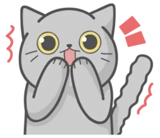 😭 gato, desenho animado, animal, fofo, adesivo, kawaii telegram sticker