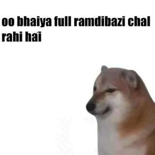 🔥 oo bhaiya full ramdibazi chal rahi hai 도지, 밈, 힌디어 telegram sticker