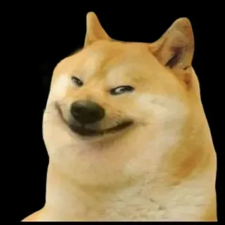 🤔 Doge chó, meme, hài hước, động vật, shiba inu telegram sticker