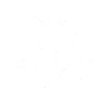 🌷