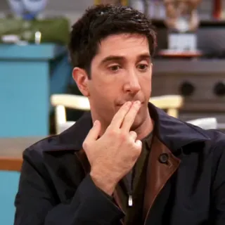 😬 Ross Geller Friends série télévisée, sitcom, années 90, personnage, david schwimmer, comique, homme, portrait telegram sticker