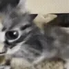 😐