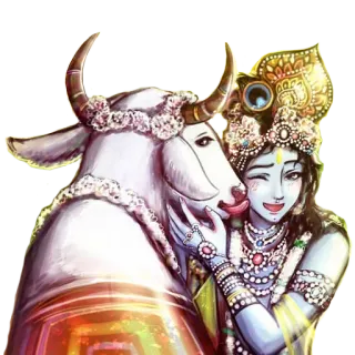 😅 Krishna 印度教, 神, 牛, 奎师那, 印度 telegram sticker