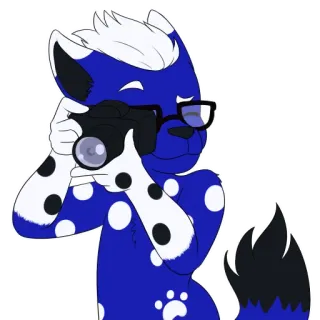 😄 Furry, Antropomórfico, Animal, Fotografia, Câmera, Óculos whatsapp sticker