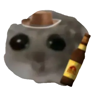 🍺 Sad cat Sad cat meme sad cat, meme, cowboy, hat, beer, alcohol, crying, funny telegram sticker