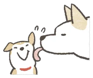 Shiba-Puppy telegram stickers