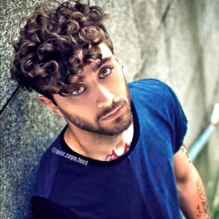 🙄 Zayn Malik per.zayn.fect 男性, 巻き毛, ポートレート, 有名人, 歌手, 魅力的, タトゥー telegram sticker