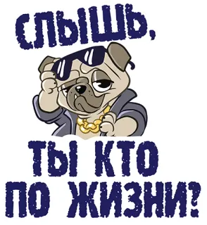 😍 Слышь, Ты кто по жизни? perro, pug, gafas de sol, dibujos animados, animal telegram sticker