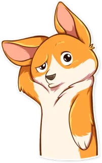😕 perro, corgi, animal, mascota, lindo, pegatina, dibujo animado whatsapp sticker