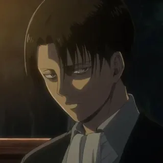 🗿 Levi Ackerman Attack on Titan anime, levi, attack on titan, postać, poważny telegram sticker