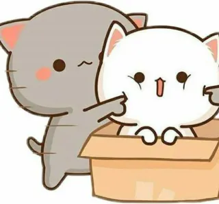 🍓 kucing, stiker, imut, hewan, kucing, kotak, kartun whatsapp sticker