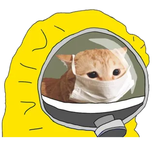 🛡 Katze, Maske, Schutzanzug, Schutz, Tier, Sicherheit telegram sticker