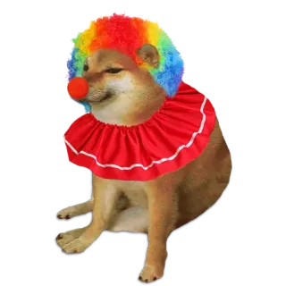 🤡 Doge, Cheems, ピエロ, ミーム, 犬, 面白い, ネットミーム telegram sticker