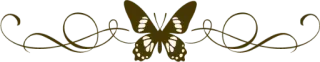 🍀 vlinder, insect, natuur, vleugels, patroon telegram sticker