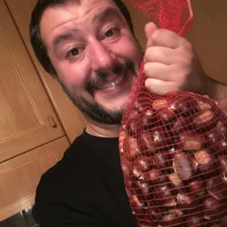 🌰 castagne, cibo, italiano, politico, Salvini telegram sticker