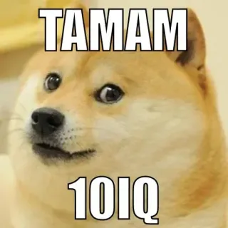 😦 TAMAM 101 IQ doge, meme, perro, gracioso telegram sticker