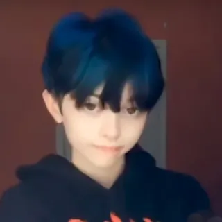 🍂 teen, portrait, blue hair, young, hoodie telegram sticker