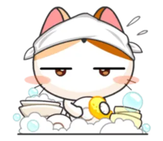 🧽 cat, cartoon, washing dishes, cute, animal telegram sticker