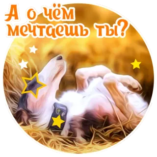 ☺️ А о чём мечтаешь ты? dog, stars, dreaming, russian, question, animal telegram sticker