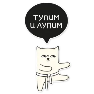 🐼 ТУПИМ
и ЛУПИМ Katze, Kampfsport, Karate, Russischer Text, Lustig, Meme, Tier telegram sticker
