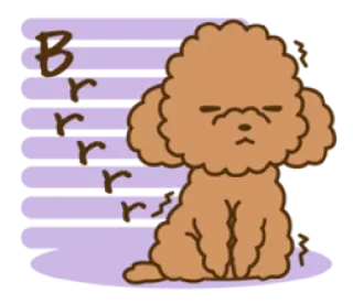 😬 Brrrrr cão, poodle, frio, inverno, tremendo whatsapp sticker