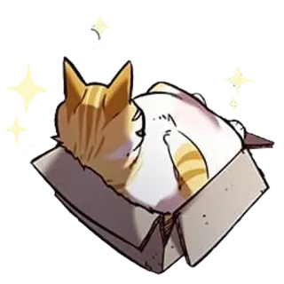 📦 kucing, kotak, imut, felin, hewan, peliharaan telegram sticker