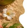 🥥