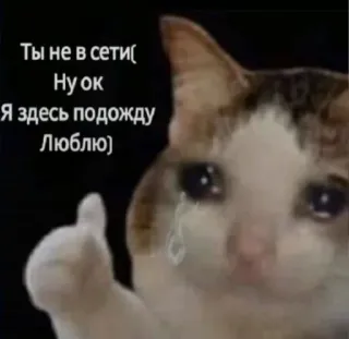 ❤️ Ты не в сети(
Ну ок
Я здесь подожду
Люблю) cat, sad, meme, waiting, love, thumb up telegram sticker