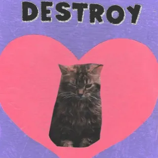 😡 DESTROY แมว, หัวใจ, ทำลาย, ข้อความ, สัตว์เลี้ยง, สัตว์, สติกเกอร์ telegram sticker