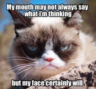 🤩 Grumpy Cat My mouth may not always say what i'm thinking but my face certainly will. 猫, 表情包, 不高兴, 幽默, 搞笑, 讽刺, 表情 whatsapp sticker