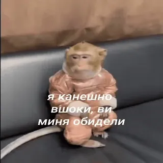 😔 Я канечно вшоки, ви меня обидели monkey, animal, sad, russian, quote telegram sticker