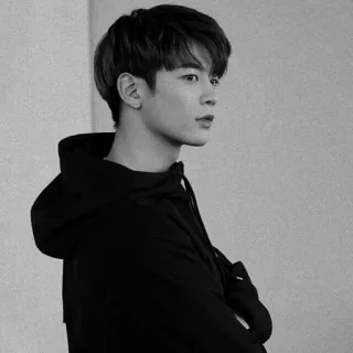 ™ homme, portrait, coréen, asiatique, sweat à capuche, mannequin whatsapp sticker